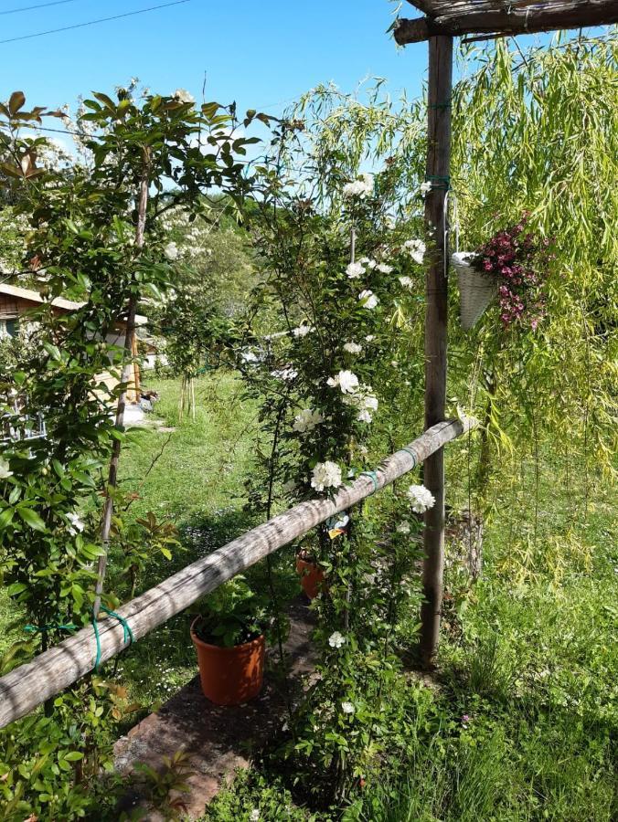 La Bellana Leilighet Guardistallo Eksteriør bilde