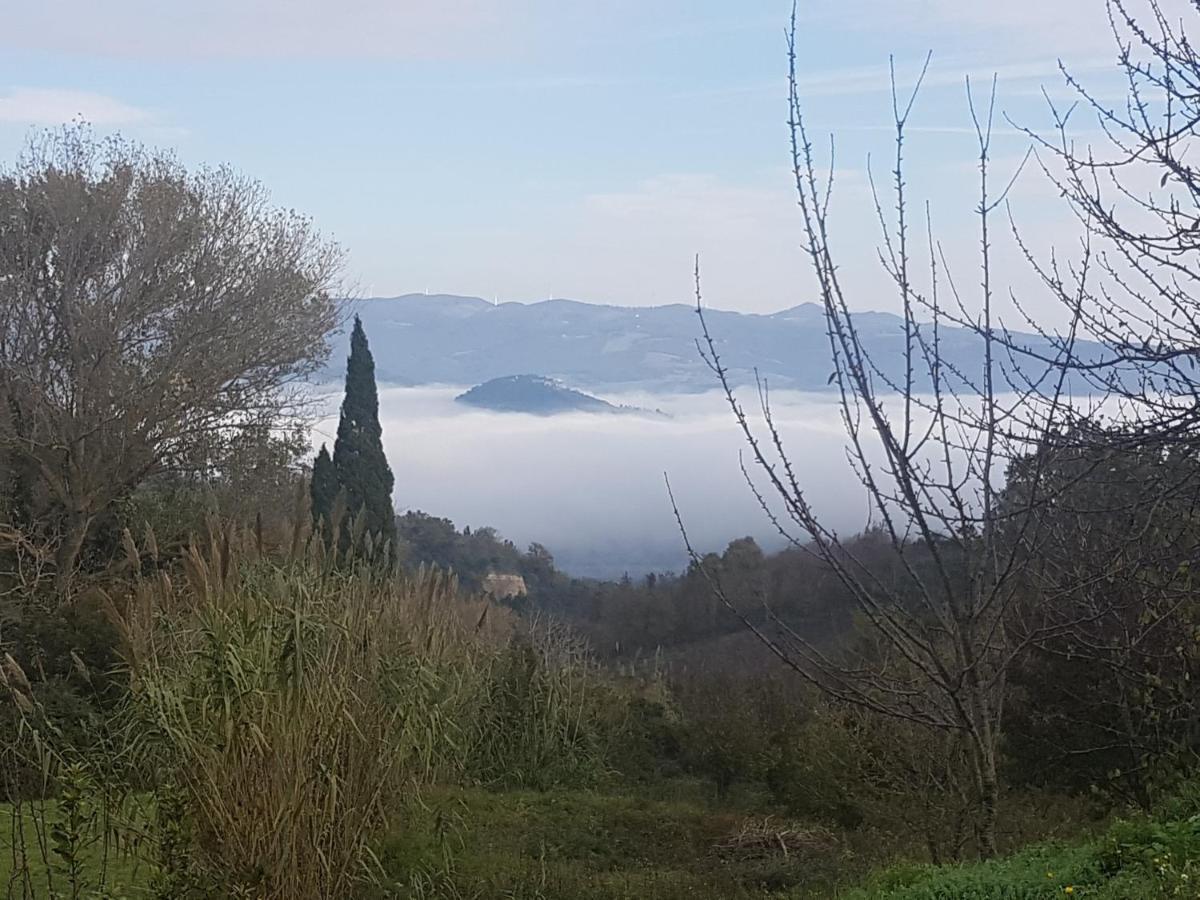 La Bellana Leilighet Guardistallo Eksteriør bilde